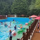 옥화자연휴양림 이미지