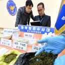 남부청과 뉴시스