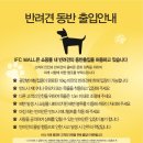 여의도 동물병원 이미지