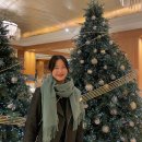 명동사우나 | 롯데호텔서울 메인타워 디럭스룸 남산뷰 후기(명동데이트 포토존,사우나, 라세느조식)