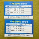 세화산부인과의원 | 임신 사전건강관리 지원 과정