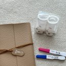 100세동안(수정점) | 현대해상 태아보험 가입완료, 삼성화재다이렉트 실비 가입완료 (임신 10주차 내돈내산 솔직후기)