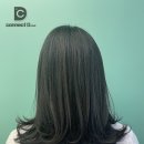 커넥트 디 헤어 네이버블로그