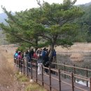 람사르에 등록된 습지가 있는 대흑산도(大黑山島) 이미지