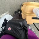 (주)피노핀 | 나이 30 넘어서 아직도 20대같은 블로그 올리는 분들 보면 숙연해짐