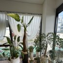 산막공단남1길 이미지