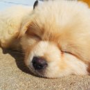 견우와 직녀 이미지