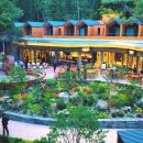 보보스PC존 4호점 | 수락산 동막골 자연휴양림 수락휴 예약 성공 후기 | 수락휴예약 개별동 초록빛오후