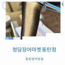 이마트24청담리테일점 | 동탄 장어 1kg 41,000원 청담장어마켓 가성비 대박 동탄 롯데백화점 맛집 후기