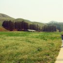 봄을담다 이미지