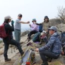 큰꽃지천 이미지