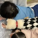 슈니네옷~짱