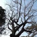 입암서원 앞 이미지