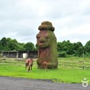 탐라승마장 이미지