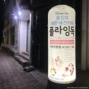 플라잉독 | 광주 충장로 애견카페 플라잉독 후기