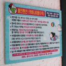 폴인펜션 | 밀양수영장펜션 당일치기여행 폴인펜션 카바나 이용후기