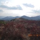 표충사주차장 이미지