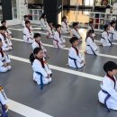 케이타이거즈(KTIGERS) 태권도장 이미지