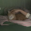 정혜목장 | 24.01 (사랑의 화수분처럼)