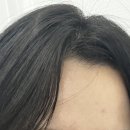 그리심헤어