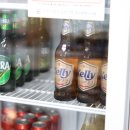 낙지세상 이미지