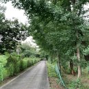 [국토종주 도전기] 2차 시도 : 두번째날(낙단보 인증센터 ~ 강령고령보 인증센터) Part. 2