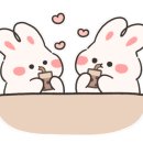 경기도 수원시 영통구 매탄로204 이미지