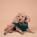 보영가든 | 2025년 12월