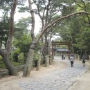 배양2리 | 사도세자 향한 정조의 그리움… 그의 효심을 느낄 수 있는 산책길 - 화성효행길