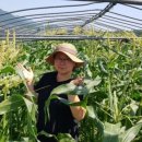 조은농장 이미지