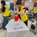 준오미장 이미지