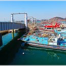 (주)시화대형카 | 화성 전곡항-수도권의 다기능 테마어항