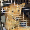 다온이네 이미지