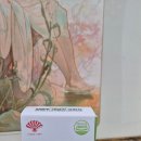 바로약품 | 동화약품 씹어 먹는 데일리 양배추 크런치 후기