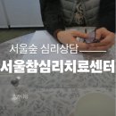 참서울 | 서울숲심리상담을 위해 찾아간 성수 서울참심리치료센터 솔직후기