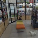 아름드리동물병원 이미지