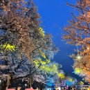 와룡상회 이미지