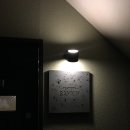 사인라이트 | [압구정 레스토랑]뜨라또리아 샘킴 라이트디너 테이스팅 후기