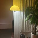 건강 요가-B | 한성대 요가｜요가, 아비 성북점 후기 &amp; 가격 | 성북구 소규모 하타 요가