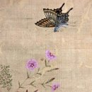 패랭이꽃 | 패랭이꽃과 호랑나비 - 겸재 정선의 &#39;석죽호접&#39;