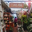 에덴꽃화원 네이버블로그