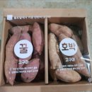 무안농장 이미지