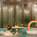 치즈바다 이미지