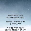 선을 취하고 악을 버리는 큰 어리석음 이미지