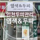 인하대학교 | 인천헤드스파 염색앤두피 인하대점 탈모 승모근 관리 후기