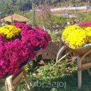 화개루 이미지