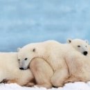 당구포켓클럽 이미지