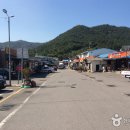 하세동길 이미지