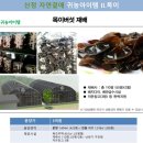 곁애 이미지