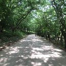 영암터미널 진입로 이미지